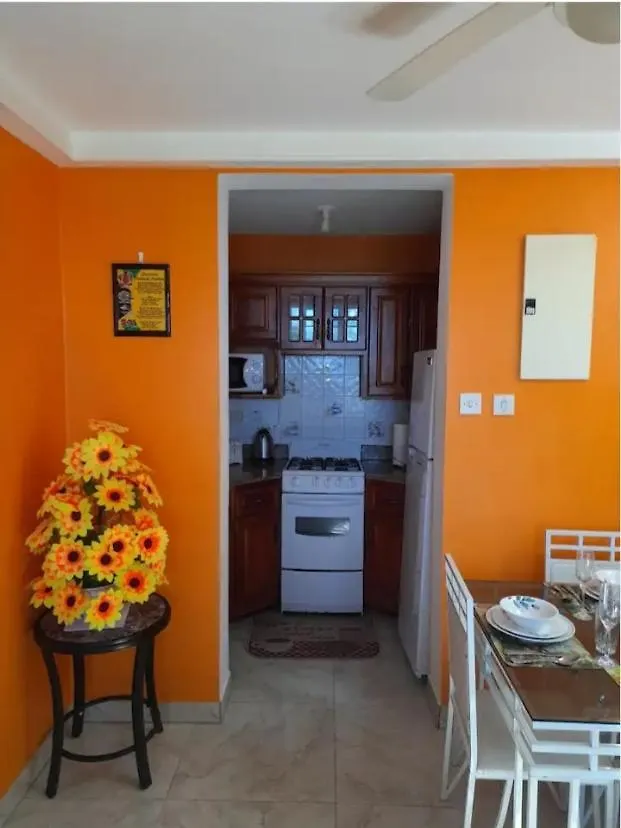 Appartamento Bruce Seacastle Vacation Penthouse Montego Bay