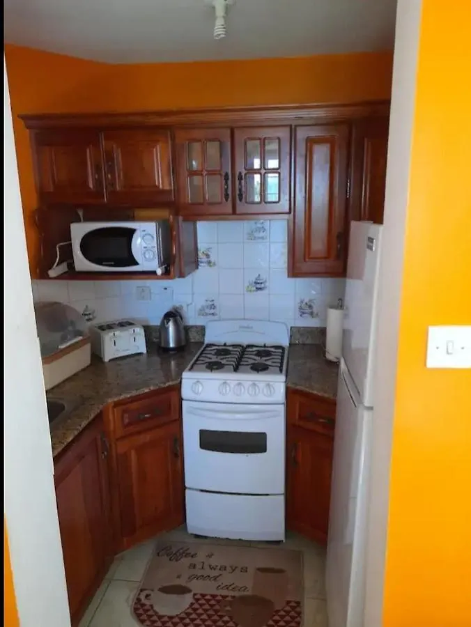Bruce Seacastle Vacation Penthouse Apartment Montego Bay