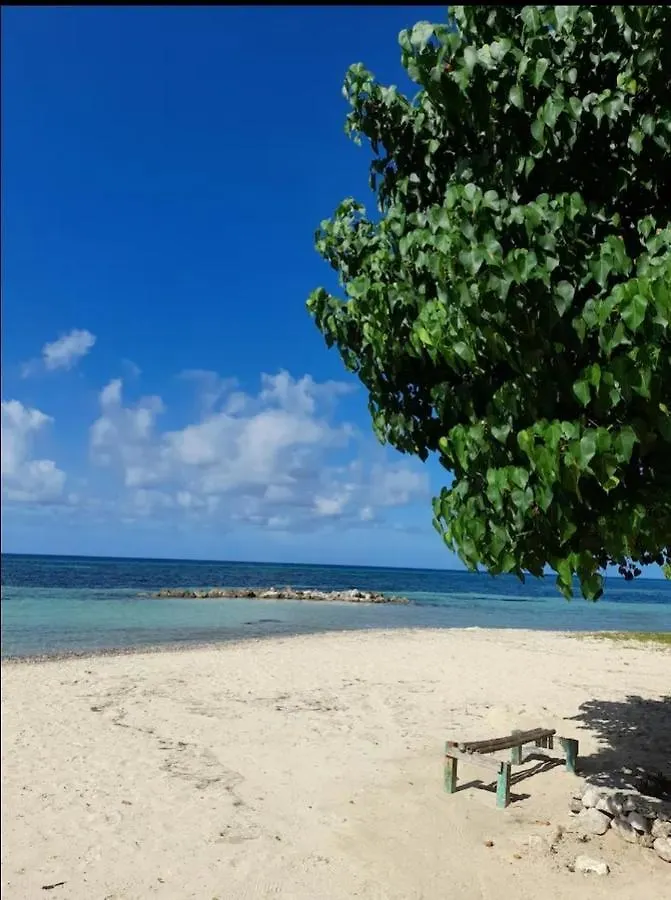Bruce Seacastle Vacation Penthouse Apartment Montego Bay 0*,