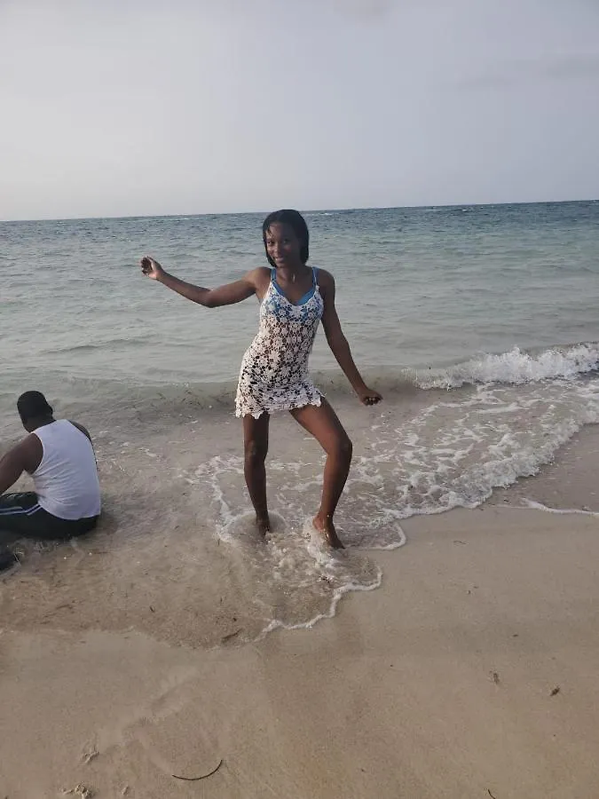 Bruce Seacastle Vacation Penthouse Apartment Montego Bay
